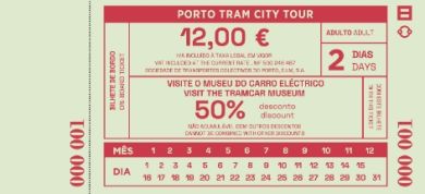 bilhete adulto 2 dias